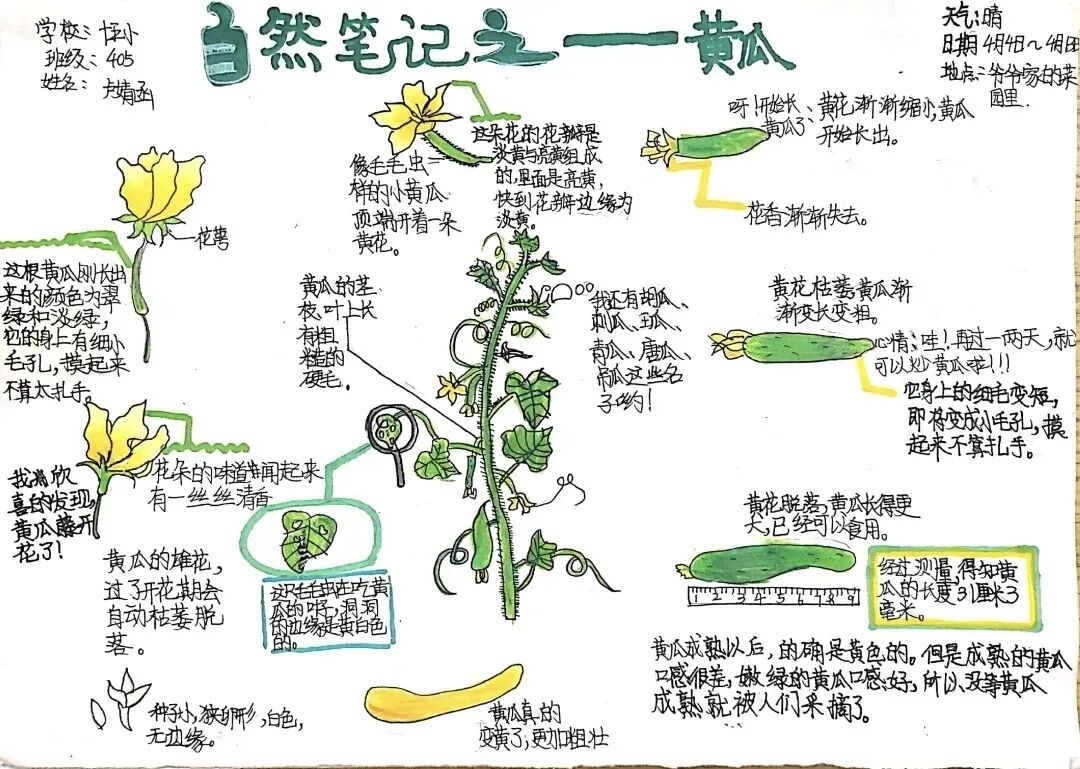 图5.jpg